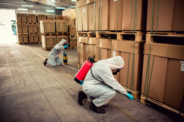 Best Pest Removal Services  in Lincoln University, PA